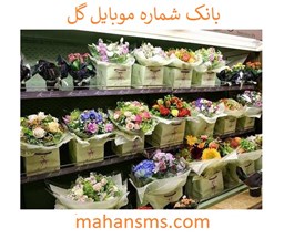 تصویر بانک شماره موبایل گل فروشی 